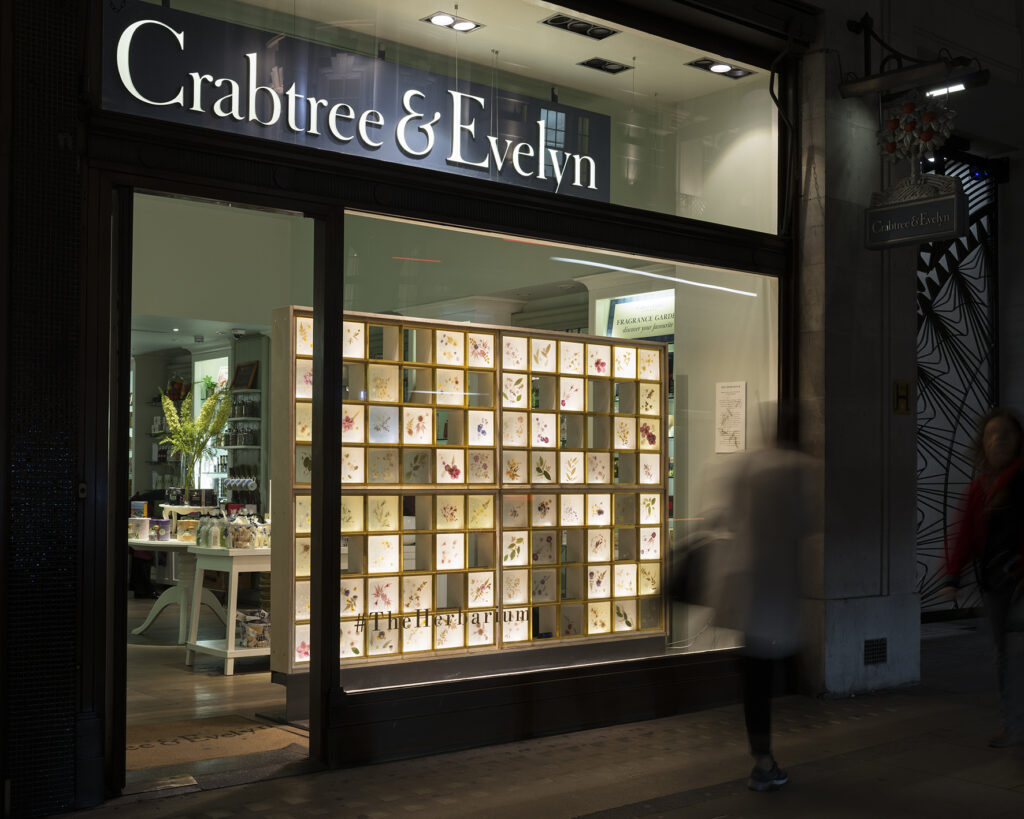 lighting scheme at Regent Street fro Crabtree and Evelyn store by Michael Grubb Studio, London